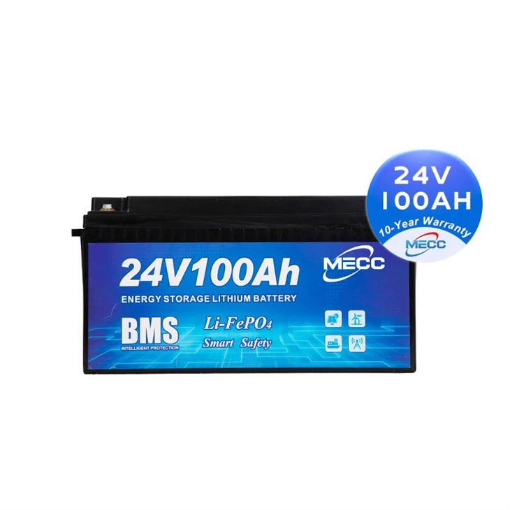 BMS 12v 100ah Lifepo4 Battery Pack
